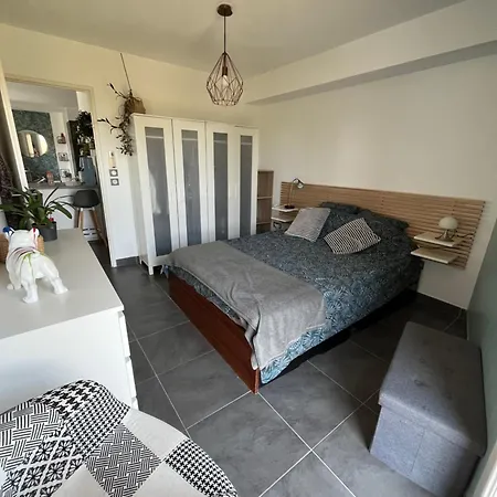 Ds Avec Piscine Carnon *