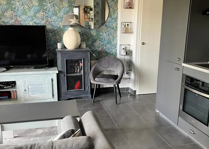 Ds Avec Piscine Carnon Appartement